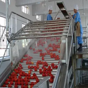 厂价番茄酱制造机设备番茄酱加工灵1-100t/d