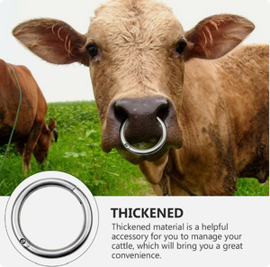 2 boyutu buzağı Weaner sağım dur burun halkası çiftlik boğa burun halkası inek çekiş burun daire eğitim taşıma için - Product Image 4