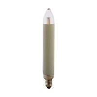 T15 LED Bridge Type Ampoule 8-55V0.1-0.2W T15 LED Bougie Ampoule T15 E10 LED Festive Ampoule