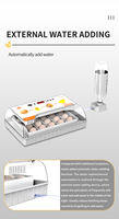 Volka HHD — incubateur d'œufs pour laboratoire, 20 œufs, bon marché, taux d'éclosion élevé