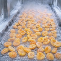 Graad A Halal IQF Diepvries Abrikozenhelften Groothandel |   100% natuurlijk vers gesneden abrikozenvlees voor jam, bakkerijproducten & smoothies