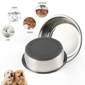 Mangiatoie per animali domestici con fondo in Silicone antiscivolo per cani e gatti in acciaio inossidabile