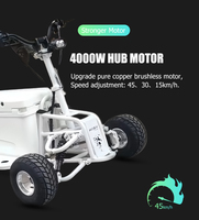 Chariot électrique portable 4x4 75QT de Chine, scooter électrique 48V, scooter tout-terrain, glacière, voiture pour le camping, les activités de plein air et les voyages