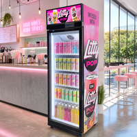Réfrigérateur commercial vertical à porte vitrée simple pour boissons, idéal pour les supermarchés (vente en gros)