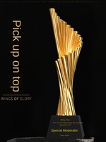 Trophée hybride cristal-résine personnalisé |   Récompenses gravées au laser 3D pour les champions de ventes d'excellence corporative et les compétitions pour enfants
