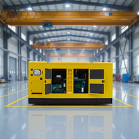 Générateur diesel intelligent Weichai 20kw 30kw 40kw 50kw 60kw 120kw 300KW triphasé pour usage industriel/hôtelier/agricole, type silencieux