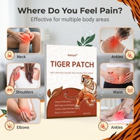 42 Patchs Chauffants Tigre Chinois Ultra Puissants pour Soulager la Douleur Musculaire et Articulaire du Genou, de l'Épaule et du Cou