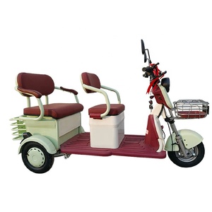 Triciclo Elettrico da Fabbrica 48V 60V a Bassa Velocità, Veicolo Elettrico a 3 Ruote 500W 1200W, Veicoli Ricreativi in Vendita - Product Image 6