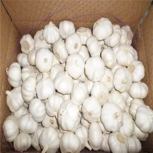 批发价格较低的新鲜大蒜5千克/6千克/9千克/10千克用于纸箱包装