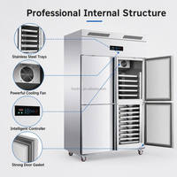 Congélateur commercial monotempérature à refroidissement par ventilateur, vertical, congélation rapide, refroidi par air, avec bac d'insertion, pour usage en restaurant, fruits de mer