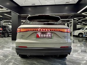 รถยนต์ปี 2025 เกรท วอลล์ ฮาวาล เซียวหลง ฮาวาล ธันเดอร์ ฟิร์ซ เอสยูวี - Product Image 6