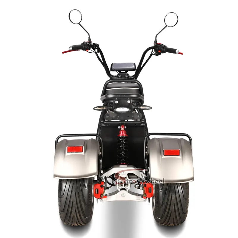 Citycoco-patinete eléctrico potente para adulto, motor de motocicleta eléctrica de 2000W, 3000W, 3 ruedas, 60V, 20ah, almacén de la UE