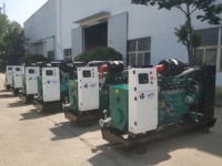 Industrieller Gasmotorgenerator Erdgas & Biogas 220V/380V DC-Start Wassergekühlt