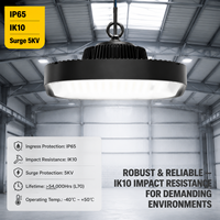 Lumière LED haute baie IK10 100-250W IP65 étanche, lampe de plafond industrielle avec contrôle DALI Zigbee Tuya