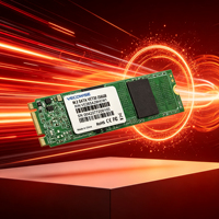 Stok Tersedia M.2 2280 Solid State Drive 3D TLC, Daya Tahan Lama untuk Peralatan Uji Otomasi Industri Laboratorium Stok Siap Kirim