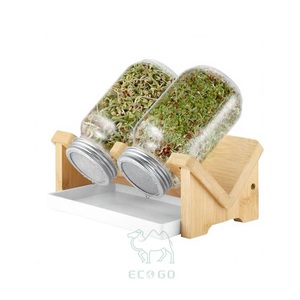 Kits de germination pour bocaux Mason à large ouverture en bambou Moso écologique et durable, avec support en bambou et couvercle en acier inoxydable, grande capacité alimentaire - Product Image 1