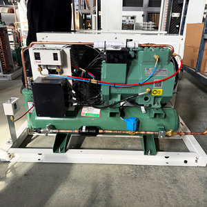 Unité de condensation à compresseur refroidi par air avec <span class=keywords><strong>moteur</strong></span> à économie d'énergie pour chambres froides et congélateurs - Product Image 3