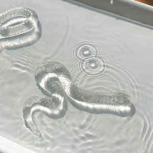 ของเล่นงู TPR ยืดหยุ่นได้ โปร่งใส น่ารัก ของเล่นบีบคลายเครียด สำหรับเด็กอายุ 8+ และ 14+ - Product Image 5