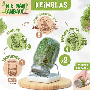 Kit de Cultivo Orgánico Zengreens Incluye 1-3 Bandejas de Germinación de Vidrio, Guía de 50 Páginas, 10 Bandejas de Vivero en Línea de Acero - Product Image 3