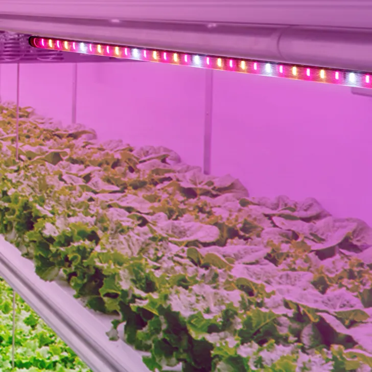 温室野菜屋内植物調整可能な2835チップフルスペクトル植物成長ライトLEDストリップ