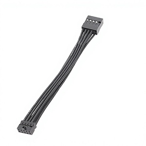 สายอะแดปเตอร์ Angitu Dupont Industrial 2Pin แบบ USB 9Pin สำหรับคอมพิวเตอร์  หุ้มด้วย PVC  ตัวนำทองแดงชุบดีบุก  ความยาว 100 มม. 12V - Product Image 3