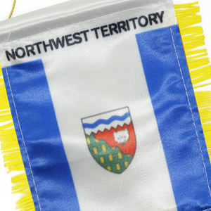 Флаг-пенант с индивидуальным логотипом, цифровая печать, сатин, для автомобиля (на зеркало заднего вида) и домашнего декора, 2026 год - Product Image 6