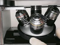 Microscopio Metalográfico de Alta Definición para Medición Óptica de Tamaño