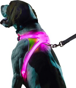 Harnais pour chien à LED multicolore Illuminé et réfléchissant pour chien Harnais rechargeable USB Harnais pour chien réglable et étanche à la pluie - Product Image 1