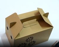 Boîte de culture de champignons avec impression personnalisée, kit de culture de champignons, boîtes en carton, emballage en papier pour la culture de champignons
