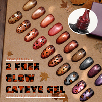 ICE NOVA HEMA TPO Free Glow Cateye Gel Polish Meteor Cat Eye Gel Polish Colorful Shiny Glitter Nail Art DIY Private Label Design