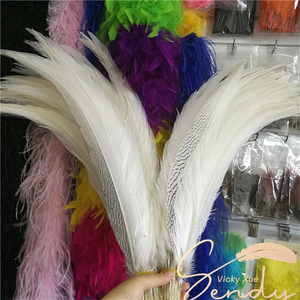 Trắng lông chim trĩ faisan plateado Bạc gà lôi đuôi lông để bán plumas de faisan cho lễ hội trang phục - Product Image 2