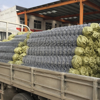 Nouvelle clôture en treillis métallique Agricon sur mesure, rouleau large de 1,0 à 50 m de long, en acier galvanisé, mailles de 25 à 100 mm, trous de 1,20 à 5,0 mm, pour usage agricole