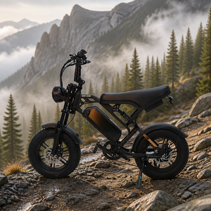 Roues en alliage pour VTT : Éliminent la nécessité d'entretien des rayons tout en offrant une rigidité et une résistance aux chocs exceptionnelles - Product Image 1