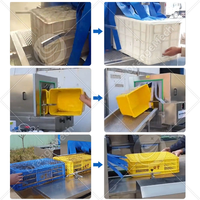 Laveuse automatique de plateaux à œufs en plastique, machine à laver les paniers à fruits, machine à laver les caisses, machine de nettoyage de plateaux à œufs