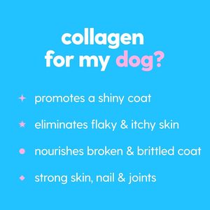 Private label Premium Grass-fed Pet Collagen drop Supplement for Skin Coat Health Itch Relief for <strong>Dogs</strong> with Biotin - Product Image 2