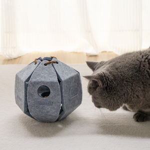 Best Seller 2025 giocattoli per animali in vendita nuovi giocattoli per gatti in feltro con palline giocattolo interattivo per animali domestici e giocattoli di movimento - Product Image 3
