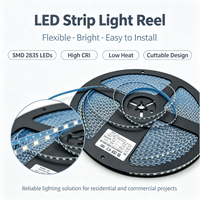 DC12V S Shape Bendable LED Strip 60LEDs/M 120LEDs/M Pita LED Fleksibel Kepadatan Tinggi untuk Papan Iklan Dekorasi Kabinet Pencahayaan