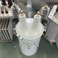 Transformateur de distribution d'énergie monté sur poteau 5 kVA 10 kVA 15 kVA 37,5 kVA 50 kVA 100 kVA 11 kV Monophasé immergé dans l'huile