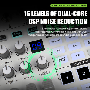 Scheda Audio All-in-<span class=keywords><strong>One</strong></span> SN800 per Registrazione in <span class=keywords><strong>Studio</strong></span>, Mixer Audio e Console - Product Image 5