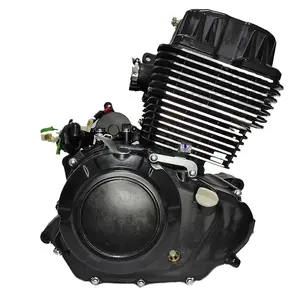 Motore raffreddato ad aria Zongshen 250cc Dirtbike TM250ccTM250cc avviamento elettrico doppio cilindro moto gruppo motore per Pitbike