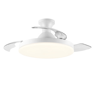 Venta de fábrica Ventilador de techo LED con hoja oculta Control remoto de 3 colores Bajo ruido para sala de estar y comedor Fuente de alimentación USB - Product Image 1