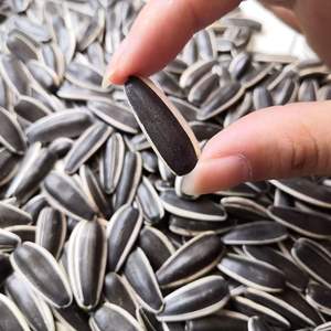 بذور عباد الشمس العضوية الخام المجففة عالية الجودة الأوروبية 25 كجم بسعر الجملة للطن - Product Image 1