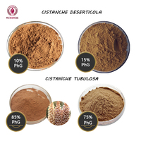 Capsules d'extrait de Cistanche Tubulosa 70% Phytoglycosides 25% Échinacoside 10% Acteoside Complément Alimentaire pour l'Activation Osseuse et le Renforcement Articulaire OEM