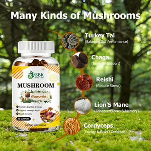Hot Sale Mushroom Gummies Immune Support Energy Improvement Health <b>Supplement</b> for Adults Increase Enefay Productivity Gummies - Product Image 6