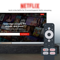 Android TV Box con Certificación GD2, Android 14, Quad Core Amlogic S905Y4, 4K, WiFi 2.4G, 2GB de RAM, Precio al por Mayor