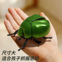 Jouet insecte à remonter Hercules Beetle pour enfants, modèle de scarabée à mécanisme, jouet insecte rampant simulation cigale