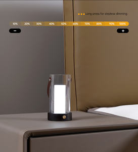 Lampe de chevet LED moderne en bois massif avec contrôle tactile, chargement USB DC, température de couleur réglable et intensité variable - Product Image 6