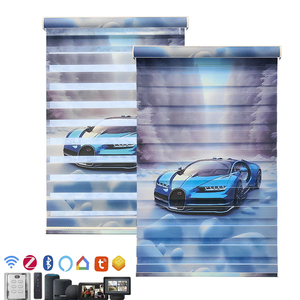 Tùy chỉnh ngày và đêm cơ giới <span class=keywords><strong>Zebra</strong></span> rèm trong nhà thông minh cơ giới hai lớp pin Powered <span class=keywords><strong>Zebra</strong></span> rèm cửa sổ - Product Image 4