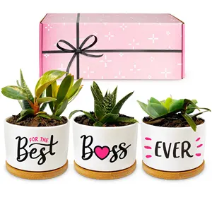 Hadiah Indah Pot Sukulen Kotak untuk Tanaman Dalam Ruangan Keramik Penanam Hadiah Bibi dari Keponakan atau dari Keponakan