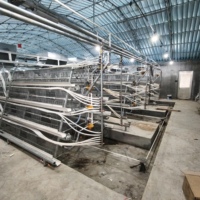Cage d'élevage de poussins de type A pour poussins d'un jour, capacité 500-2000 poussins, galvanisée à chaud, 3/4 niveaux, pour élevage avicole